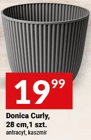 Donica Curly, 28 cm, 1 szt. promocja w Twój Market
