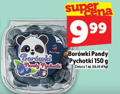 Borówki Pandy Pychotki promocja w TOPAZ
