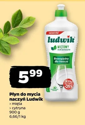 Płyn do mycia naczyń Ludwik miętowy cytryna promocja w Netto