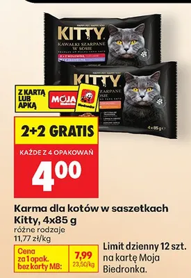 Karma dla kotów w saszetkach, różne rodzaje 2+2 GRATIS promocja w Biedronka