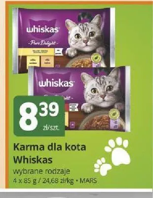 Karma dla kota Whiskas 4-pak promocja w Marketvita