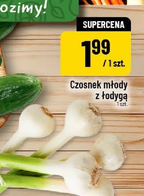 Czosnek młody z łodygą promocja w POLOmarket