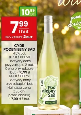 Cydr Podniebny Sad Jabłko 4,5% vol. promocja w Twój Market