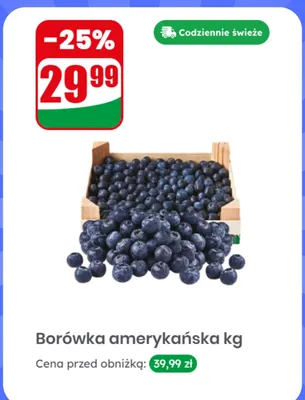 Borówka amerykańska promocja w Dino