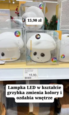 Lampka LED w kształcie grzybka promocja w MR. DIY