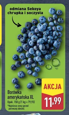 Borówka amerykańska XL promocja w Aldi