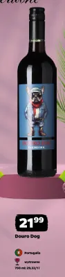 Wino czerwone wytrawne Douro Dog promocja w Netto