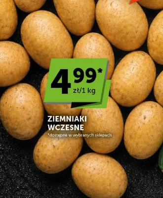Ziemniaki wczesne promocja w Groszek