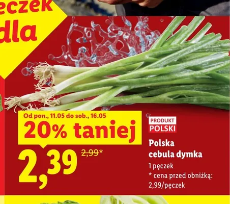 Cebula dymka polska promocja w Lidl