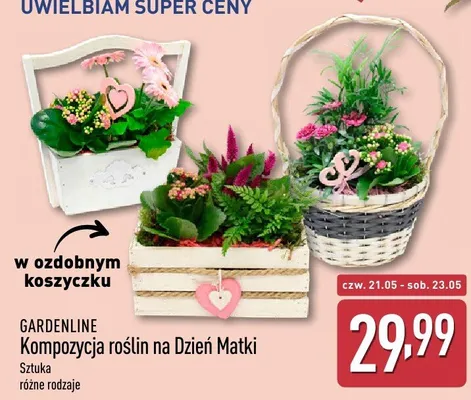 Kompozycja roślin na Dzień Matki w ozdobnym koszyczku GARDENLINE promocja w Aldi
