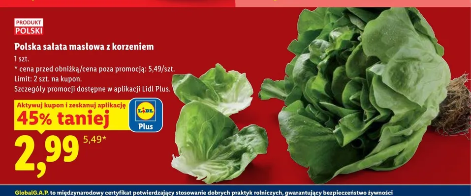 Polska sałata masłowa z korzeniem promocja w Lidl