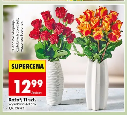 Róża 11-pak promocja w Biedronka