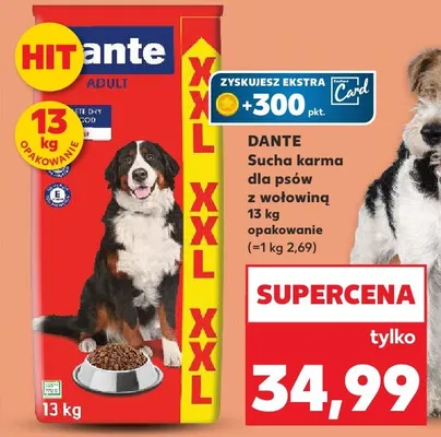 Sucha karma dla psów z wołowiną promocja w Kaufland