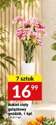 Bukiet cięty gałązkowy goździk 7-pak promocja w Twój Market