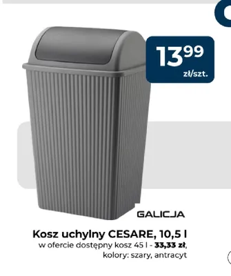 Kosz uchylny Cesare 45 l Galicja promocja w PSB Mrówka