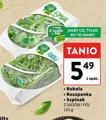 Rukola / Roszponka / Szpinak Z SADÓW I PÓL promocja w Intermarche