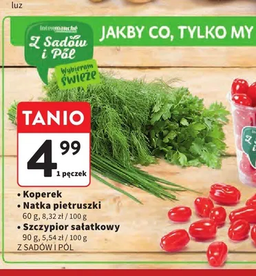Koperek Z Sadów i Pól promocja w Intermarche