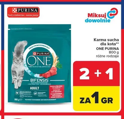 Karma sucha dla kota ONE PURINA promocja w Carrefour