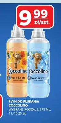 Płyn do płukania COCCOLINO promocja w Top Market