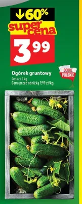 Ogórek gruntowy promocja w TOPAZ