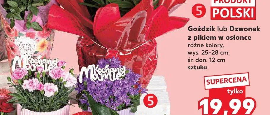 Dzwonek z pikiem w osłonce wys. 25-28cm śr. don. 12cm promocja w Kaufland
