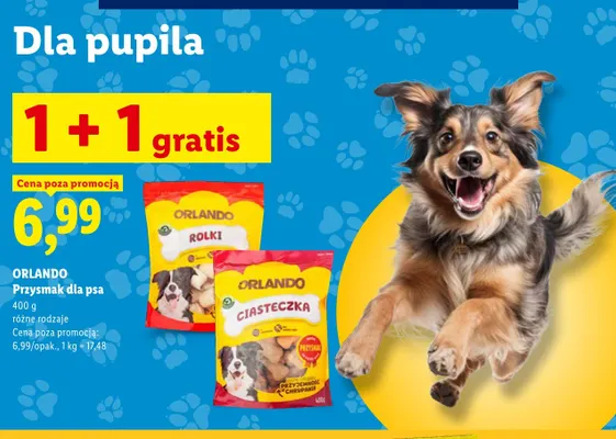 Przysmak dla psa ciasteczka Orlando promocja w Lidl