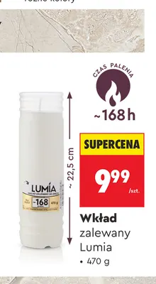Wkład zalewany Lumia promocja w Biedronka