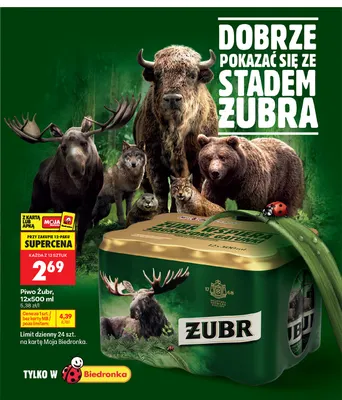 Piwo Żubr 12-pak 500 ml promocja w Biedronka