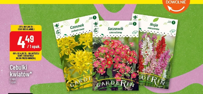 Cebulki kwiatów grupa I promocja w POLOmarket