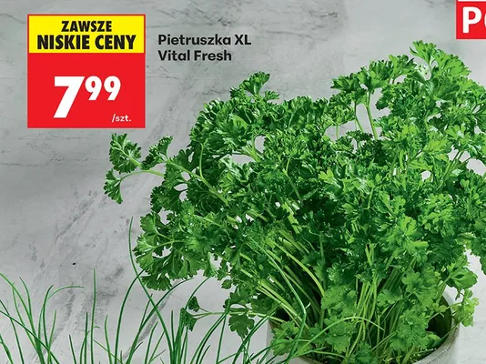 Pietruszka XL promocja w Biedronka