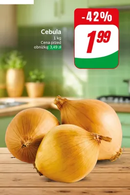 Cebula promocja w Dino