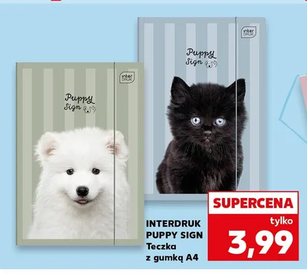 Teczka z gumką A4 Interdruk Puppy Sign promocja w Kaufland