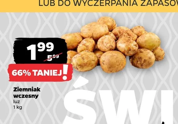 Ziemniak wczesny luz promocja w Netto