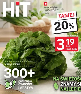 Sałata masłowa promocja w Selgros