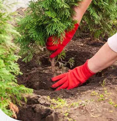 Katalog ogród, strona 129 promocja w Bricomarche