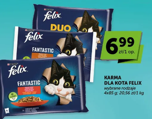 Karma dla kota Felix wybrane rodzaje promocja w ABC