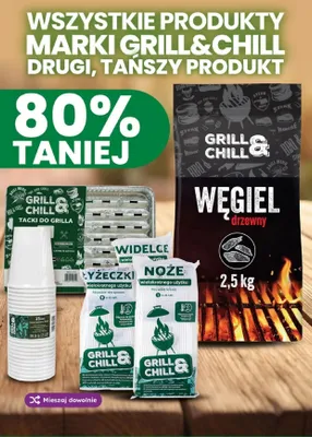 Węgiel drzewny Grill & Chill promocja w Dino