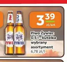 Piwo Żywiec promocja w Gama