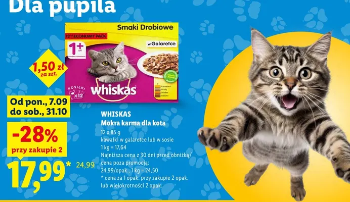 Mokra karma dla kota kawałki w galaretce Whiskas 12-pak promocja w Lidl