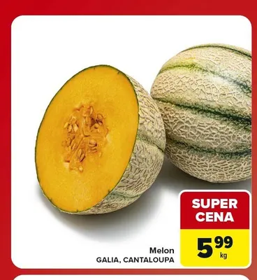 Melon Cantaloupa promocja w Carrefour Market