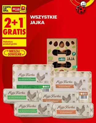 Jaja z chowu na wolnym wybiegu Moja Kurka M promocja w Biedronka