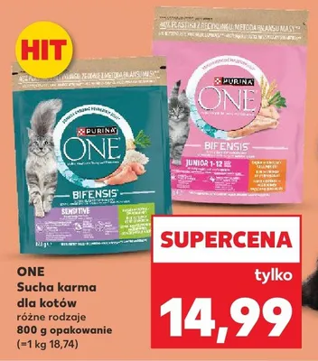 Sucha karma dla kotów ONE promocja w Kaufland