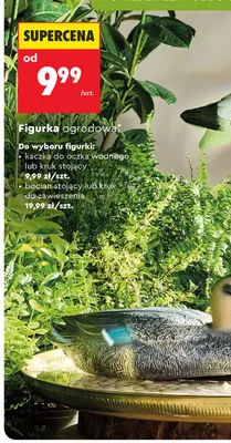 Figurka ogrodowa kruk stojący promocja w Biedronka