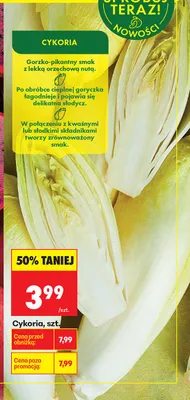 Cykoria szt. promocja w Biedronka