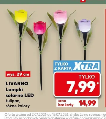 Lampki solarne LED tulipan Livarno promocja w Kaufland