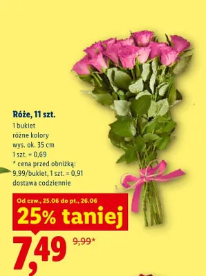 Róże 11-pak promocja w Lidl