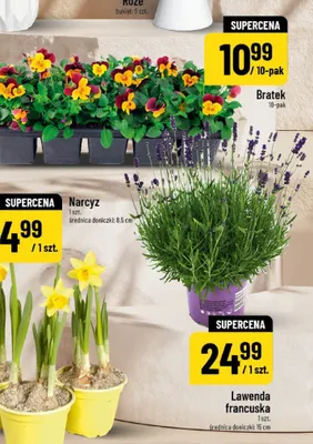 Bratek promocja w POLOmarket