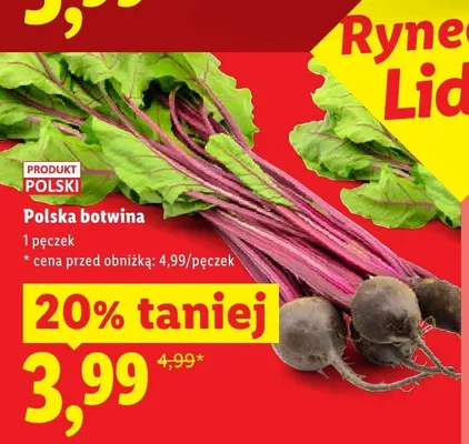 Botwina polska promocja w Lidl