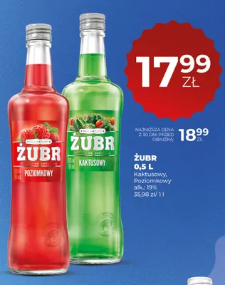 Wódka Żubr Kaktusowy 19% promocja w Duży Ben