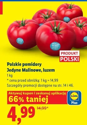 Pomidory Jedyne Malinowe polskie promocja w Lidl